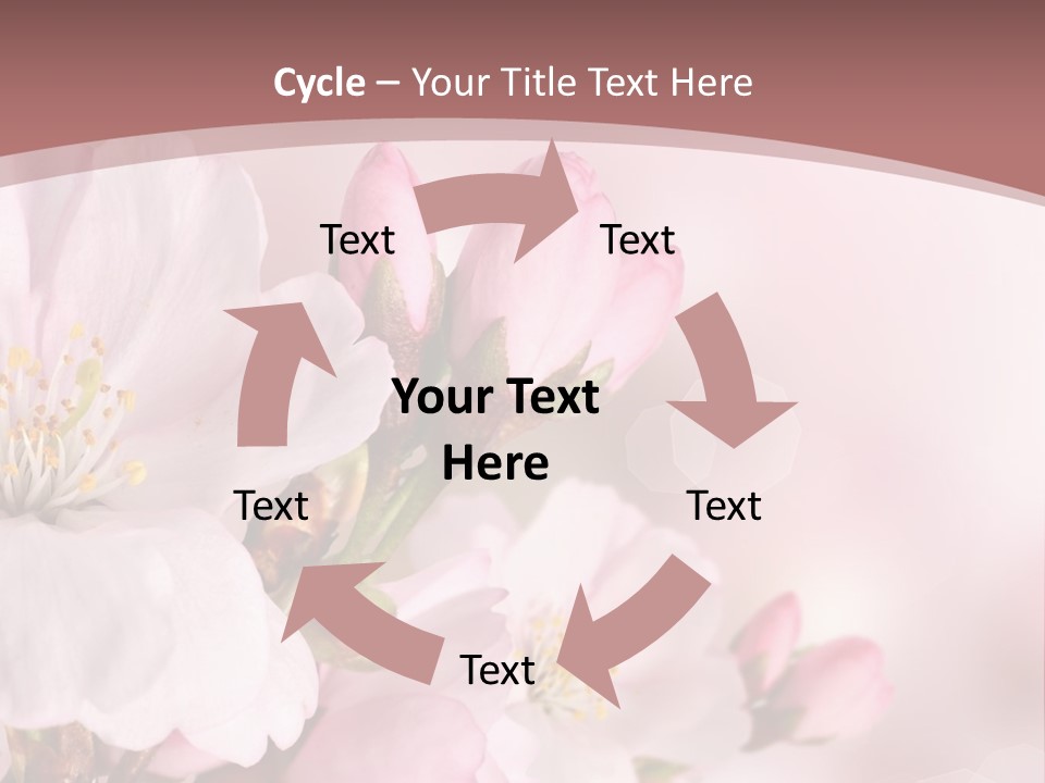 A Beautiful Pink Flower Powerpoint Presentation PowerPoint Template