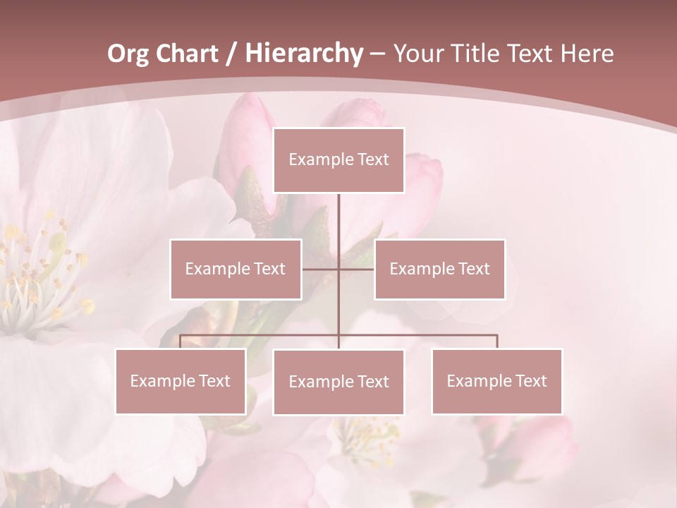 A Beautiful Pink Flower Powerpoint Presentation PowerPoint Template