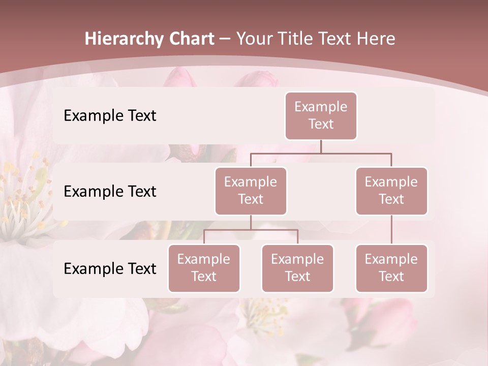 A Beautiful Pink Flower Powerpoint Presentation PowerPoint Template