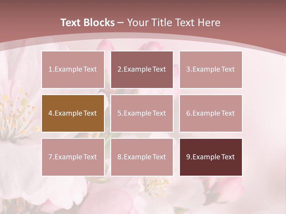 A Beautiful Pink Flower Powerpoint Presentation PowerPoint Template