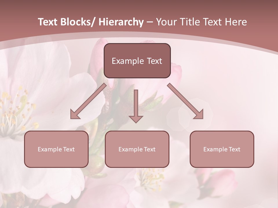 A Beautiful Pink Flower Powerpoint Presentation PowerPoint Template