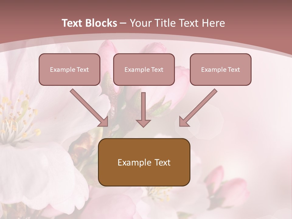 A Beautiful Pink Flower Powerpoint Presentation PowerPoint Template