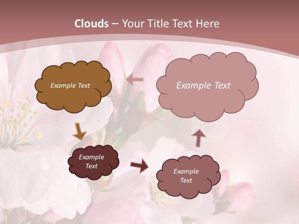 A Beautiful Pink Flower Powerpoint Presentation PowerPoint Template