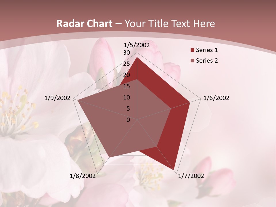 A Beautiful Pink Flower Powerpoint Presentation PowerPoint Template