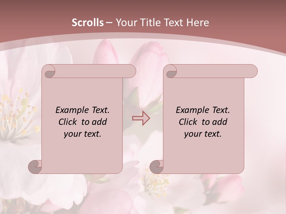 A Beautiful Pink Flower Powerpoint Presentation PowerPoint Template