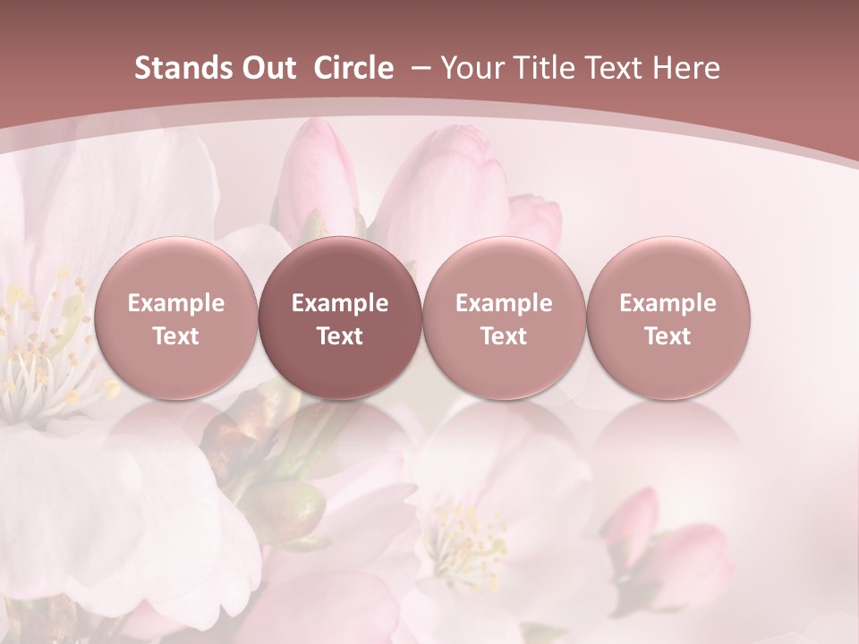 A Beautiful Pink Flower Powerpoint Presentation PowerPoint Template
