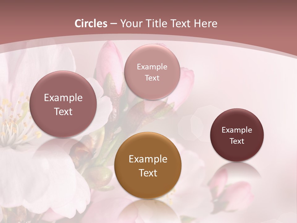 A Beautiful Pink Flower Powerpoint Presentation PowerPoint Template