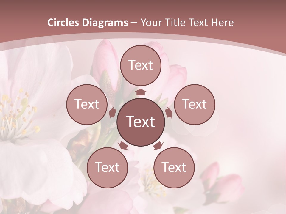 A Beautiful Pink Flower Powerpoint Presentation PowerPoint Template