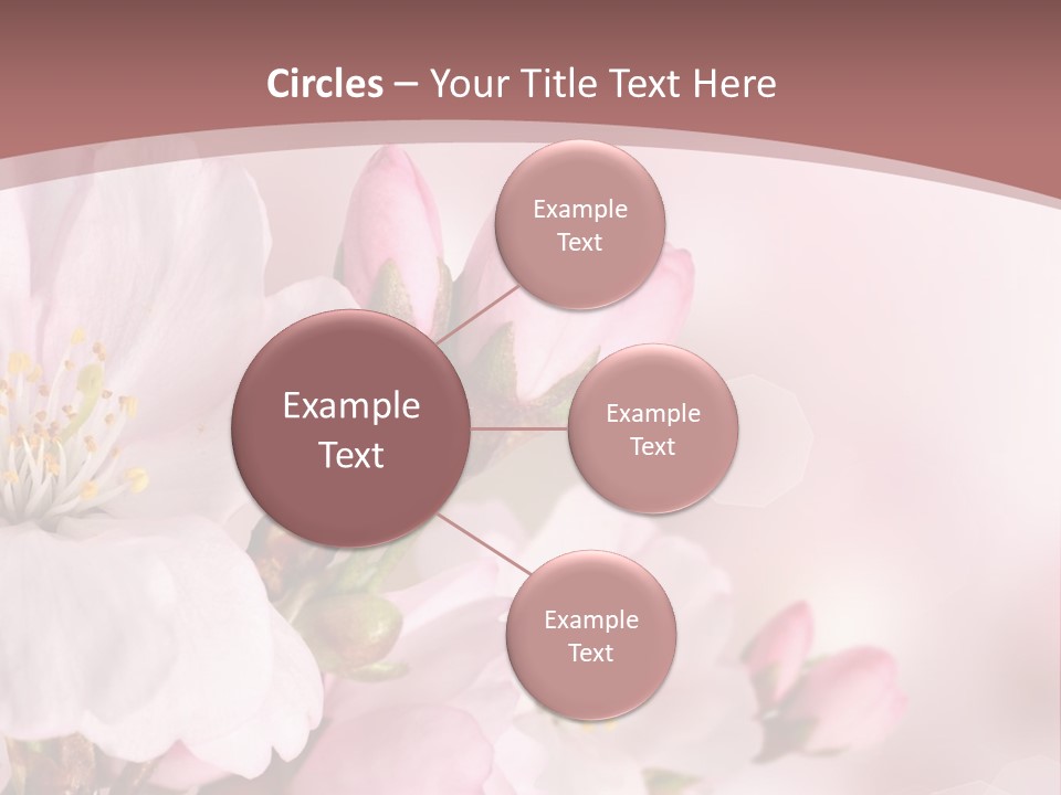 A Beautiful Pink Flower Powerpoint Presentation PowerPoint Template