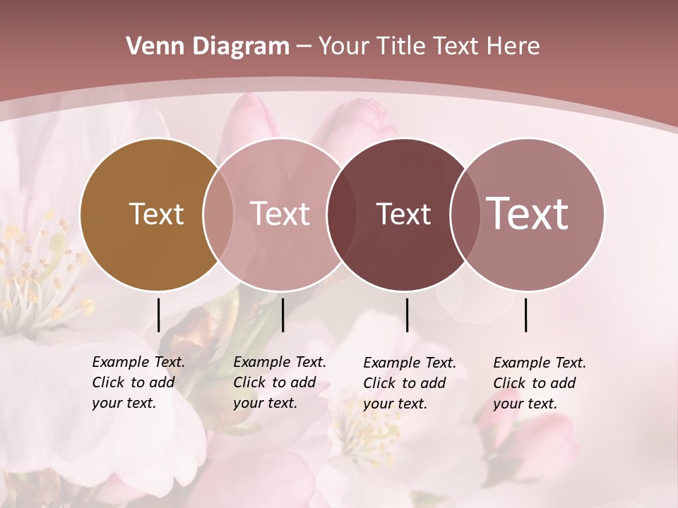 A Beautiful Pink Flower Powerpoint Presentation PowerPoint Template