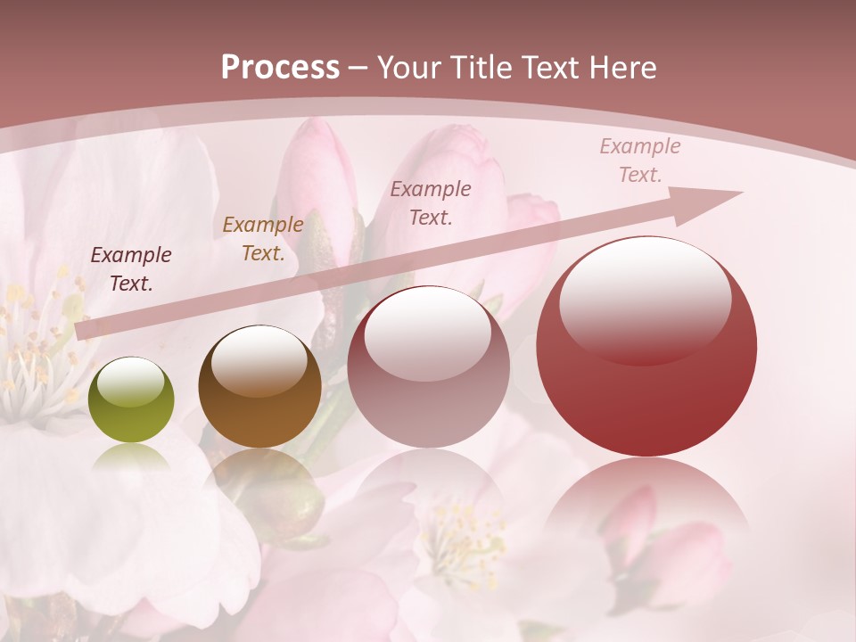 A Beautiful Pink Flower Powerpoint Presentation PowerPoint Template