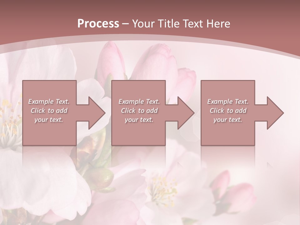 A Beautiful Pink Flower Powerpoint Presentation PowerPoint Template