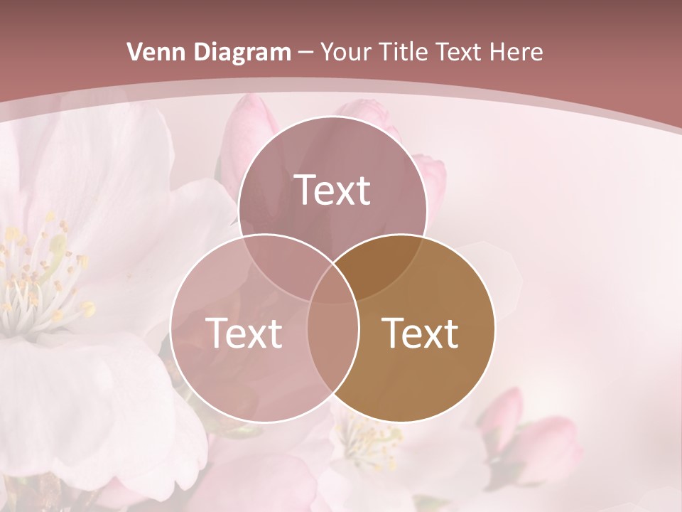 A Beautiful Pink Flower Powerpoint Presentation PowerPoint Template