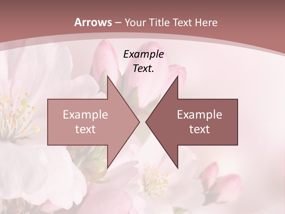 A Beautiful Pink Flower Powerpoint Presentation PowerPoint Template
