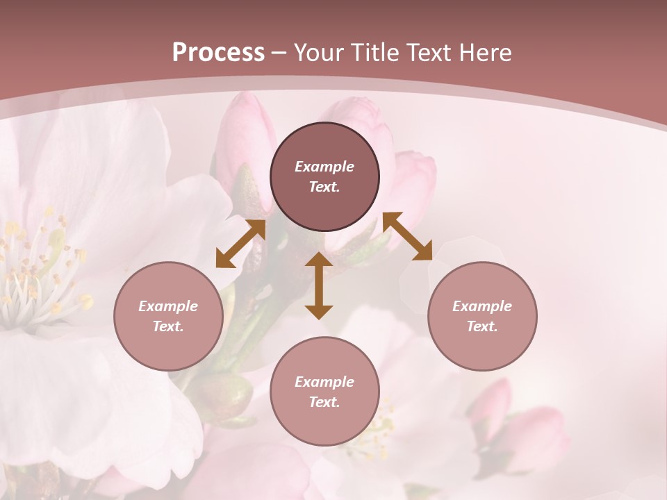 A Beautiful Pink Flower Powerpoint Presentation PowerPoint Template