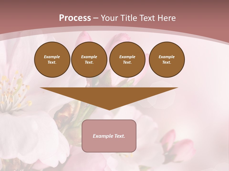 A Beautiful Pink Flower Powerpoint Presentation PowerPoint Template