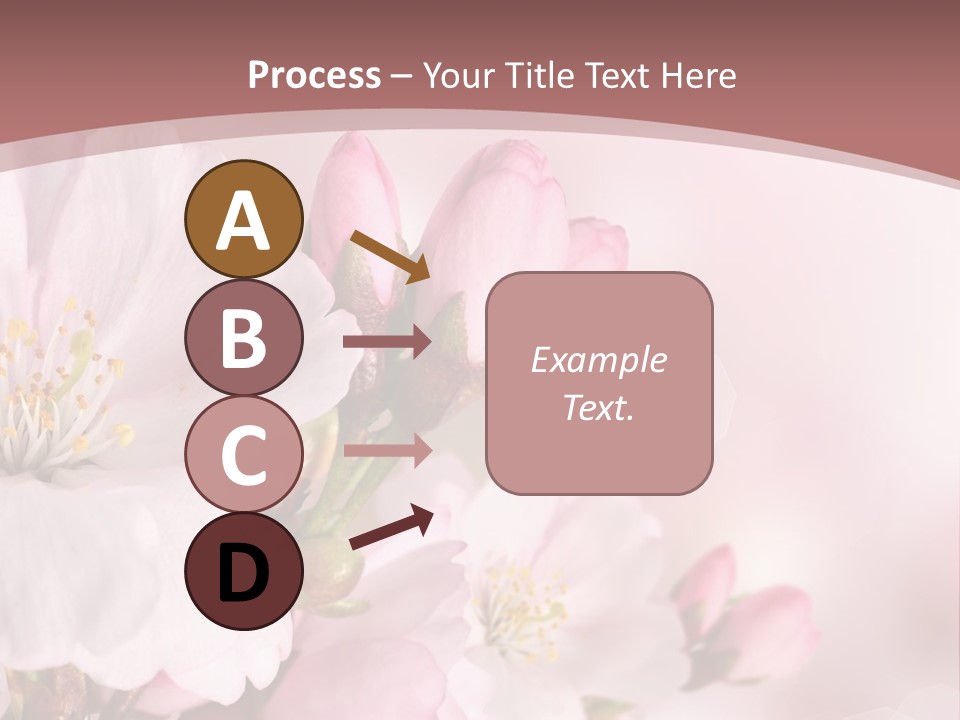 A Beautiful Pink Flower Powerpoint Presentation PowerPoint Template