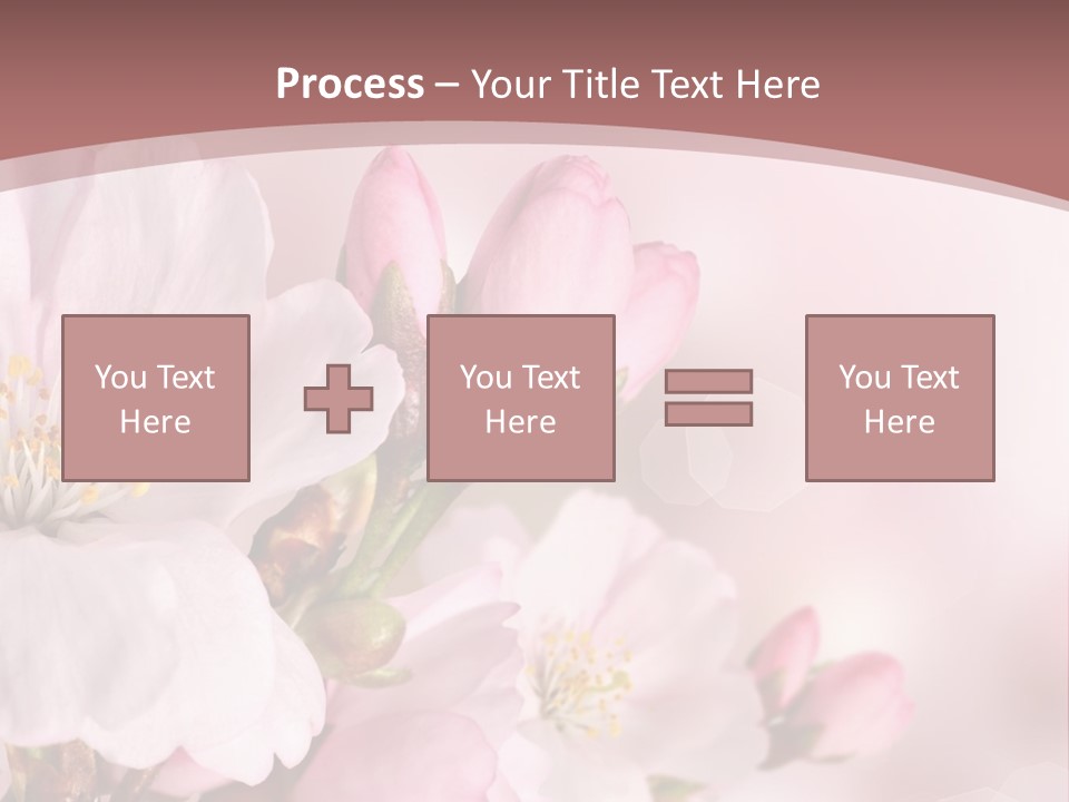 A Beautiful Pink Flower Powerpoint Presentation PowerPoint Template