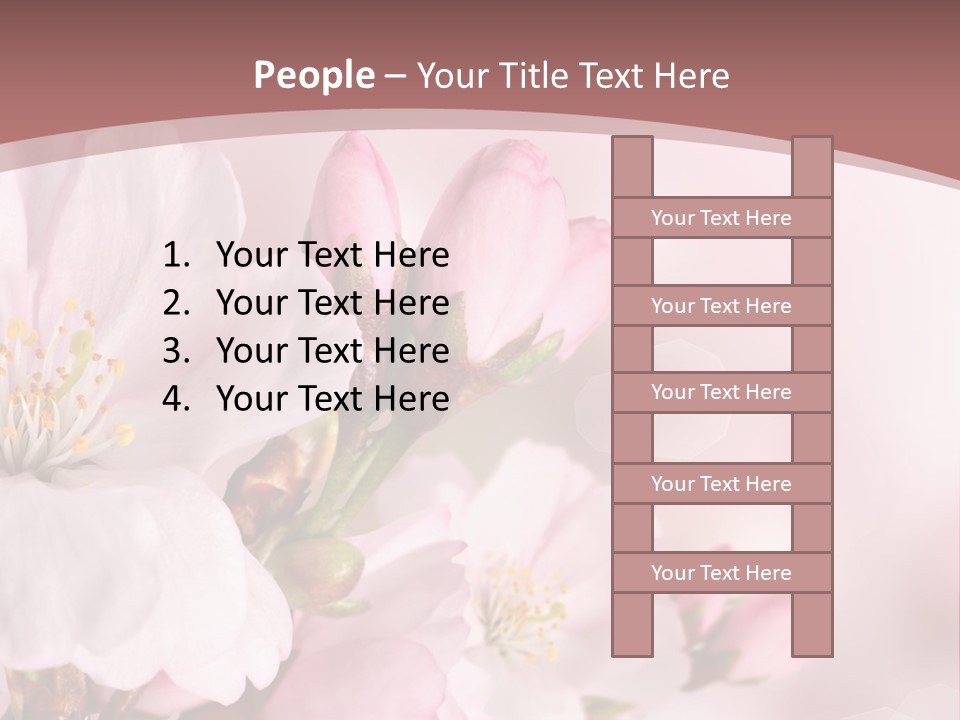 A Beautiful Pink Flower Powerpoint Presentation PowerPoint Template