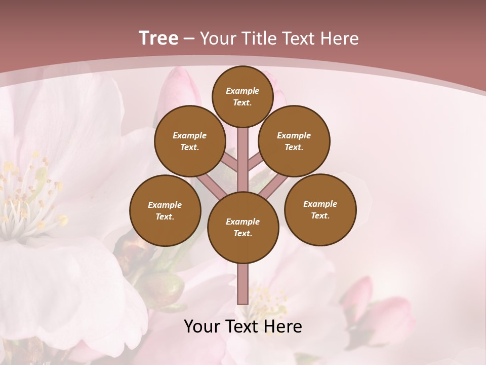 A Beautiful Pink Flower Powerpoint Presentation PowerPoint Template