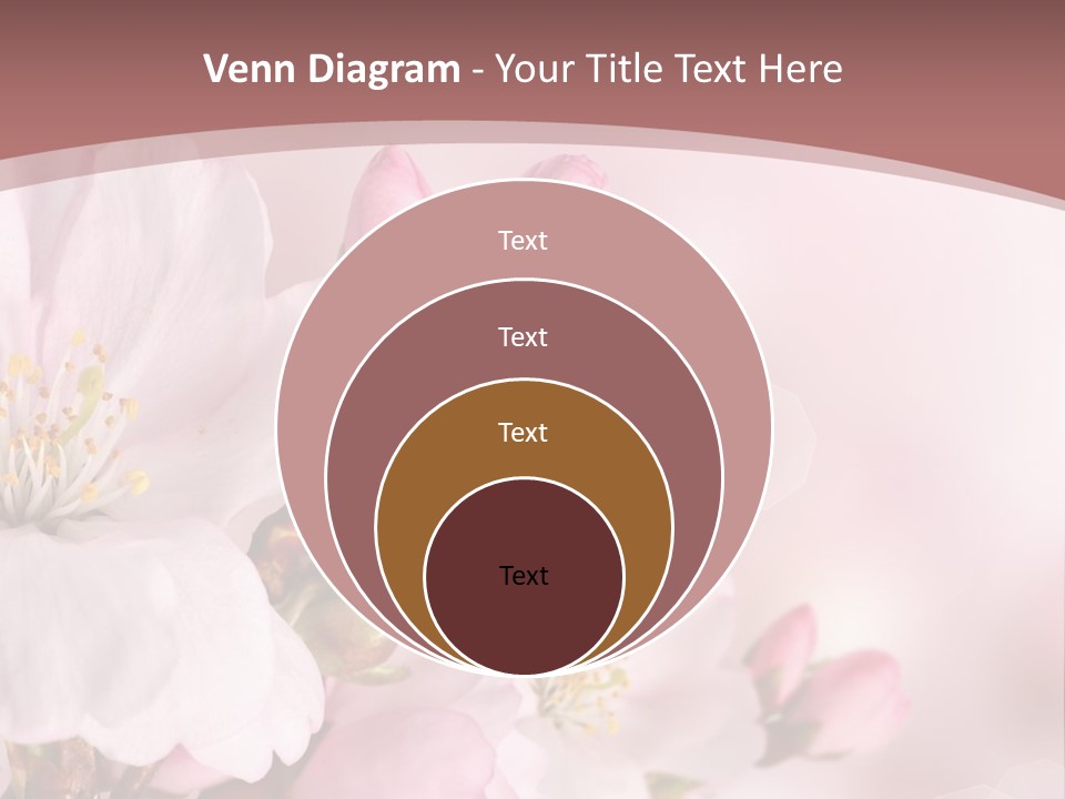 A Beautiful Pink Flower Powerpoint Presentation PowerPoint Template