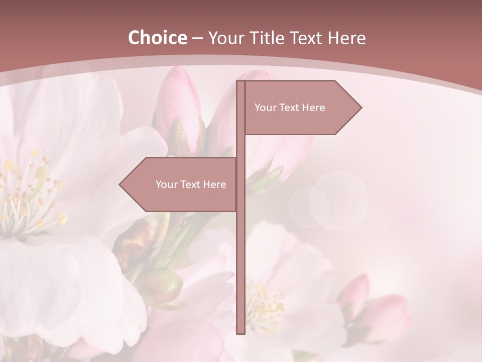 A Beautiful Pink Flower Powerpoint Presentation PowerPoint Template