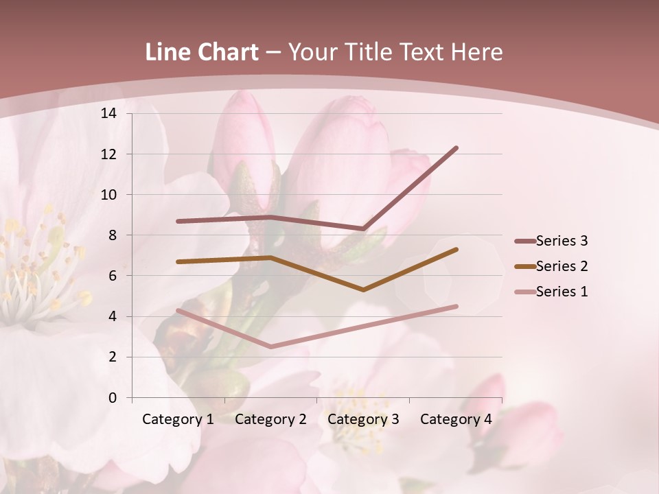 A Beautiful Pink Flower Powerpoint Presentation PowerPoint Template