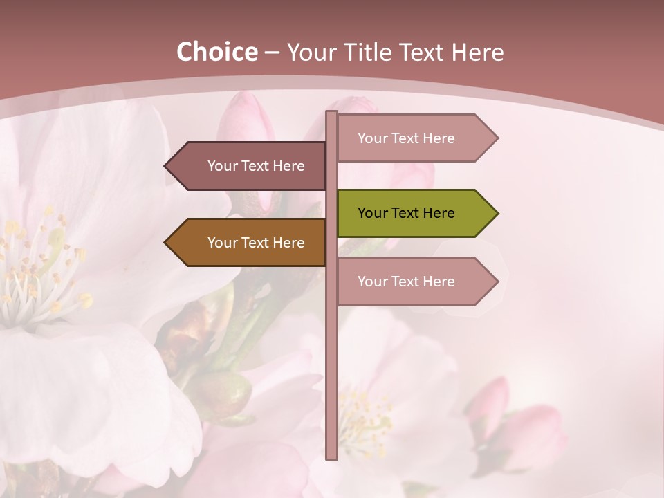 A Beautiful Pink Flower Powerpoint Presentation PowerPoint Template