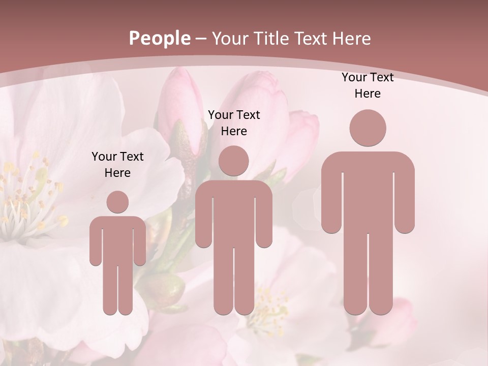 A Beautiful Pink Flower Powerpoint Presentation PowerPoint Template