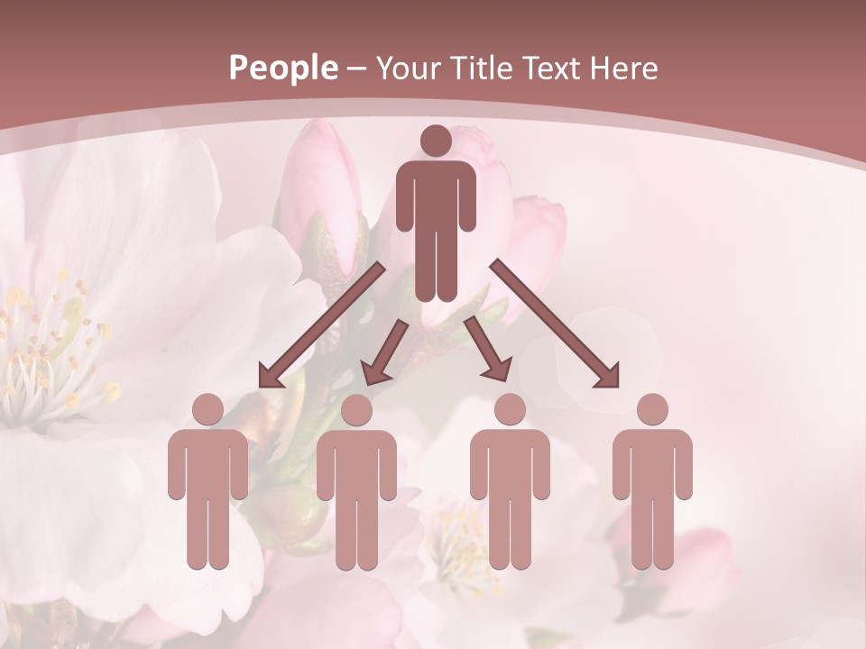 A Beautiful Pink Flower Powerpoint Presentation PowerPoint Template