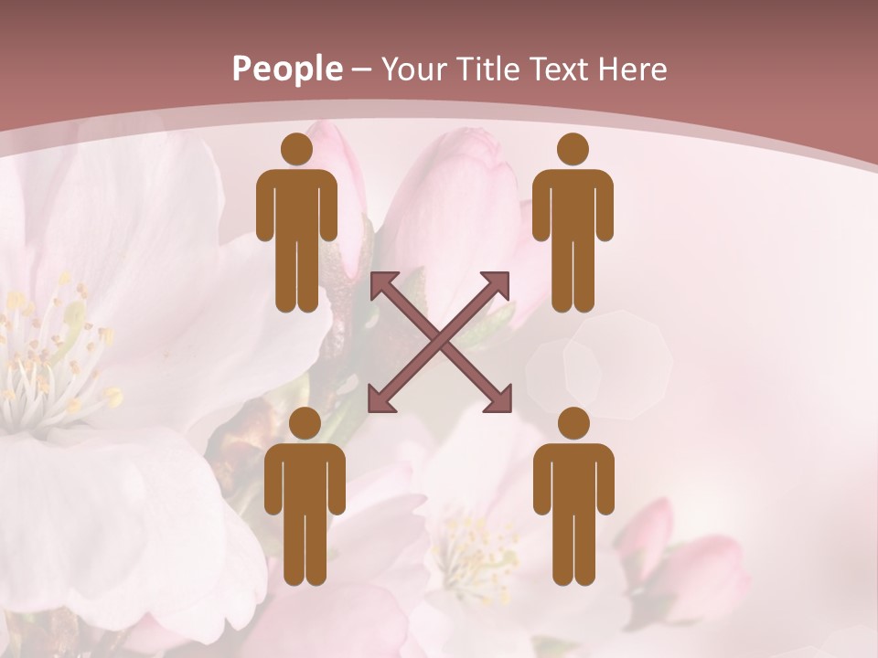 A Beautiful Pink Flower Powerpoint Presentation PowerPoint Template