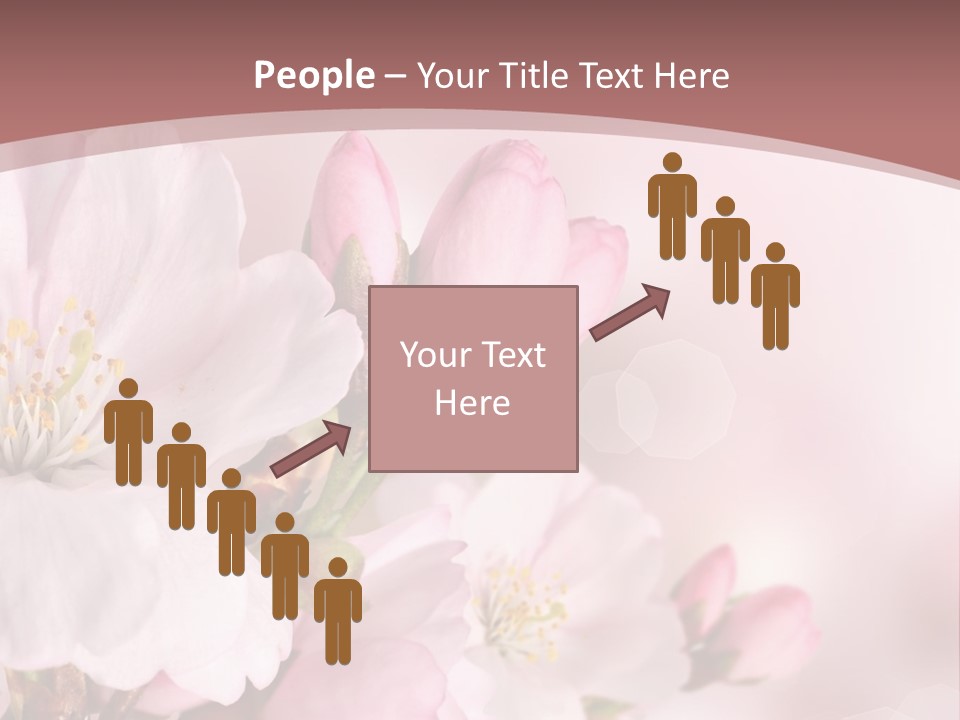 A Beautiful Pink Flower Powerpoint Presentation PowerPoint Template