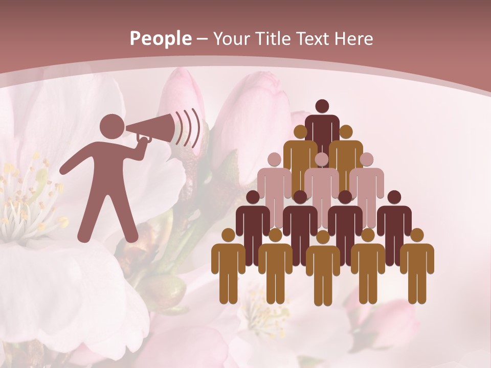 A Beautiful Pink Flower Powerpoint Presentation PowerPoint Template