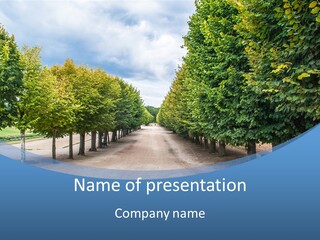 A Road Lined With Trees With A Sky Background PowerPoint Template