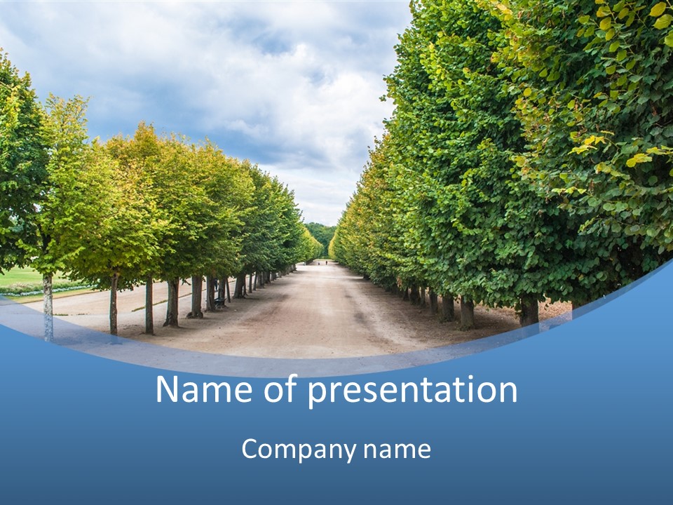 A Road Lined With Trees With A Sky Background PowerPoint Template