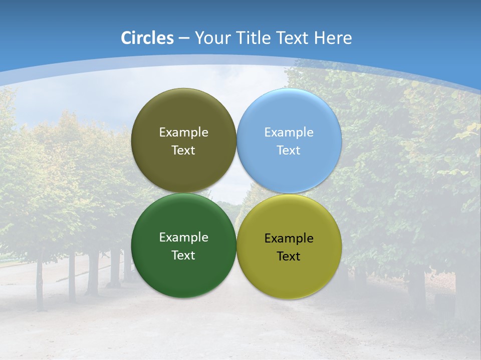 A Road Lined With Trees With A Sky Background PowerPoint Template