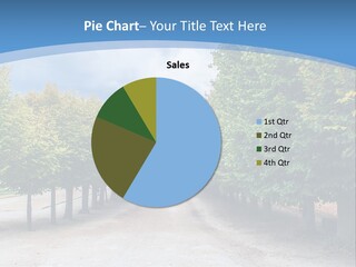 A Road Lined With Trees With A Sky Background PowerPoint Template