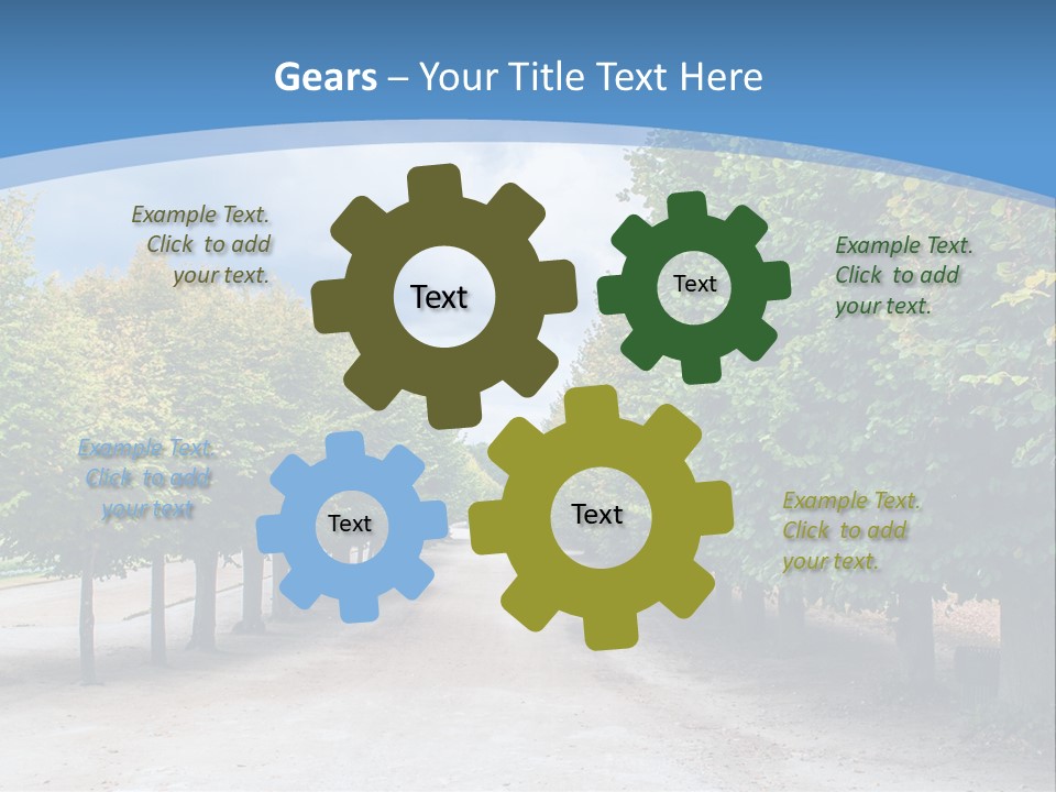 A Road Lined With Trees With A Sky Background PowerPoint Template