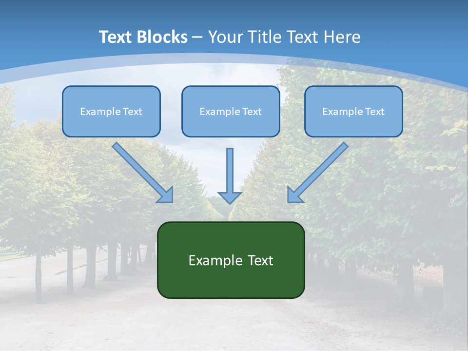 A Road Lined With Trees With A Sky Background PowerPoint Template