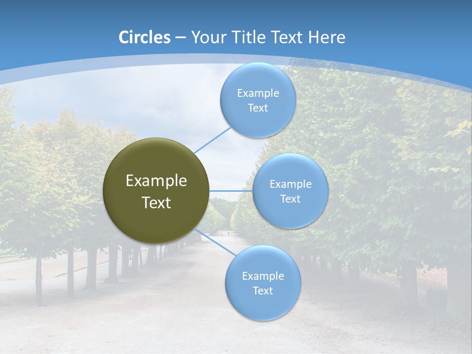 A Road Lined With Trees With A Sky Background PowerPoint Template