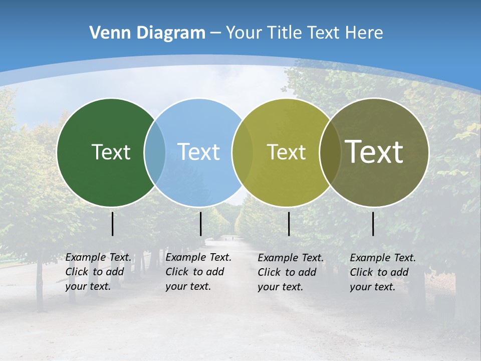 A Road Lined With Trees With A Sky Background PowerPoint Template