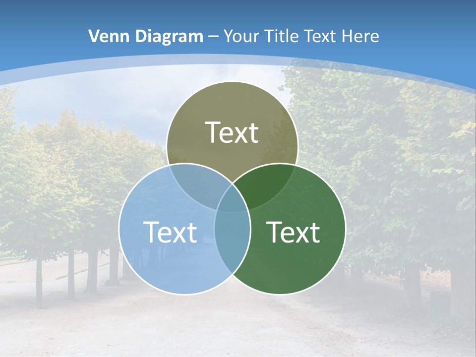 A Road Lined With Trees With A Sky Background PowerPoint Template