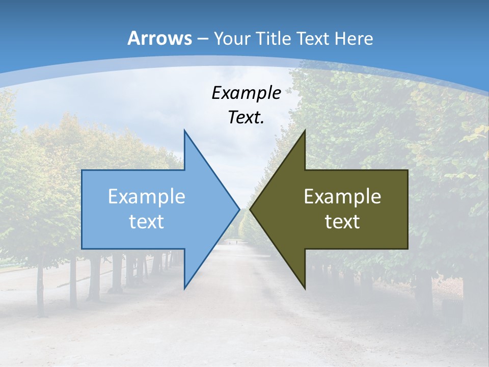 A Road Lined With Trees With A Sky Background PowerPoint Template