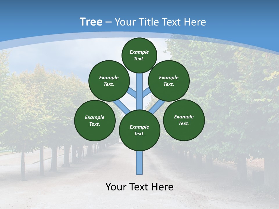 A Road Lined With Trees With A Sky Background PowerPoint Template