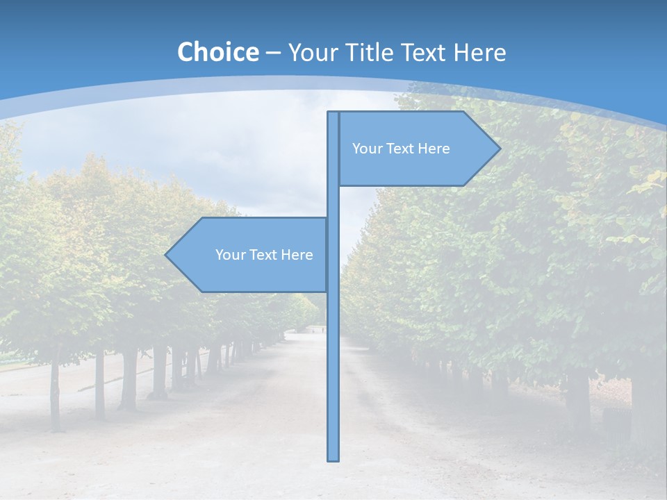 A Road Lined With Trees With A Sky Background PowerPoint Template