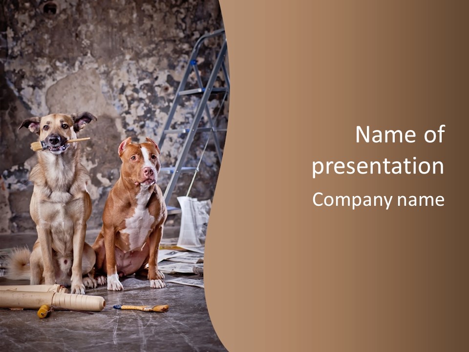 Two Dogs Sitting Next To Each Other In Front Of A Brick Wall PowerPoint Template