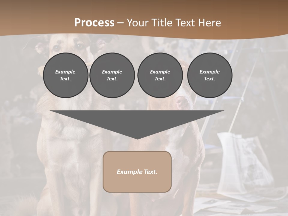 Two Dogs Sitting Next To Each Other In Front Of A Brick Wall PowerPoint Template
