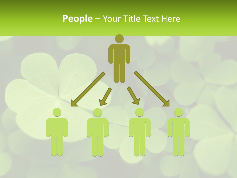 A Group Of Four Leaf Clovers With A Green Background PowerPoint Template
