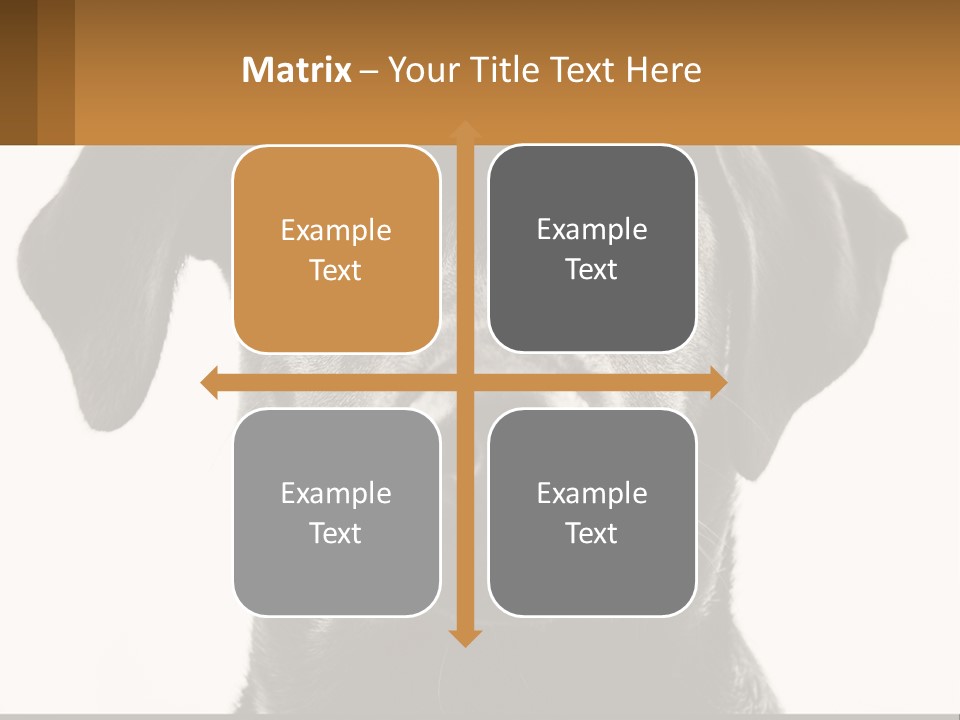 A Black Dog Is Looking At The Camera PowerPoint Template
