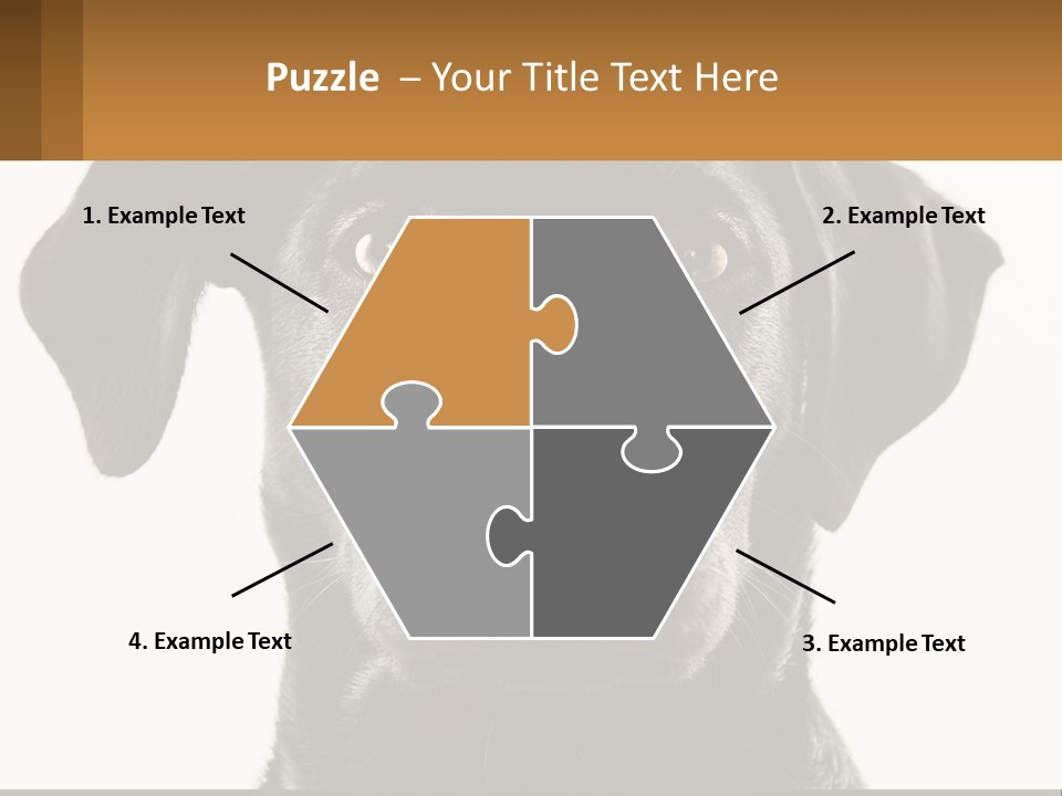 A Black Dog Is Looking At The Camera PowerPoint Template